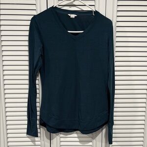 Fitted Blue Blouse with Full Sleeves